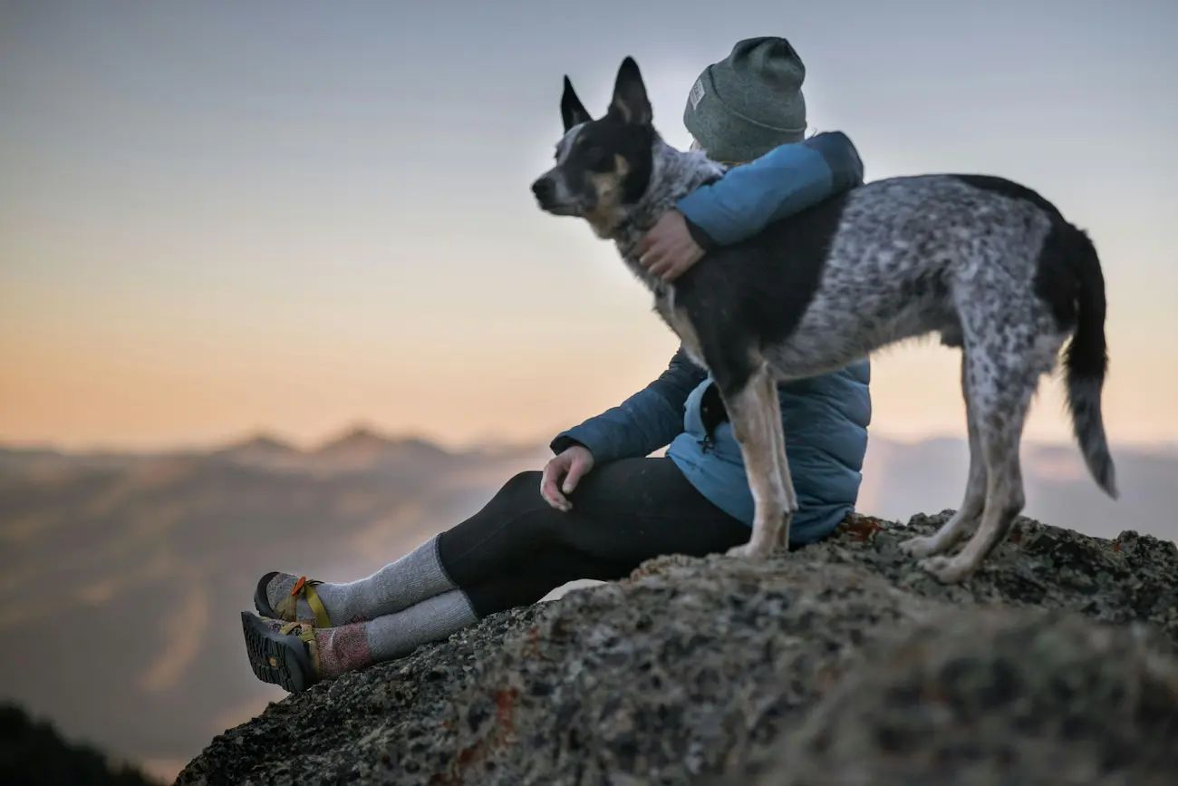As 10 Melhores Raças de Cachorro para Ter em 2026