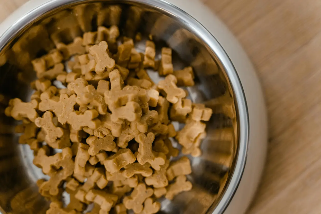 Melhores Rações para Cachorro: Avaliação Nutricional Completa
