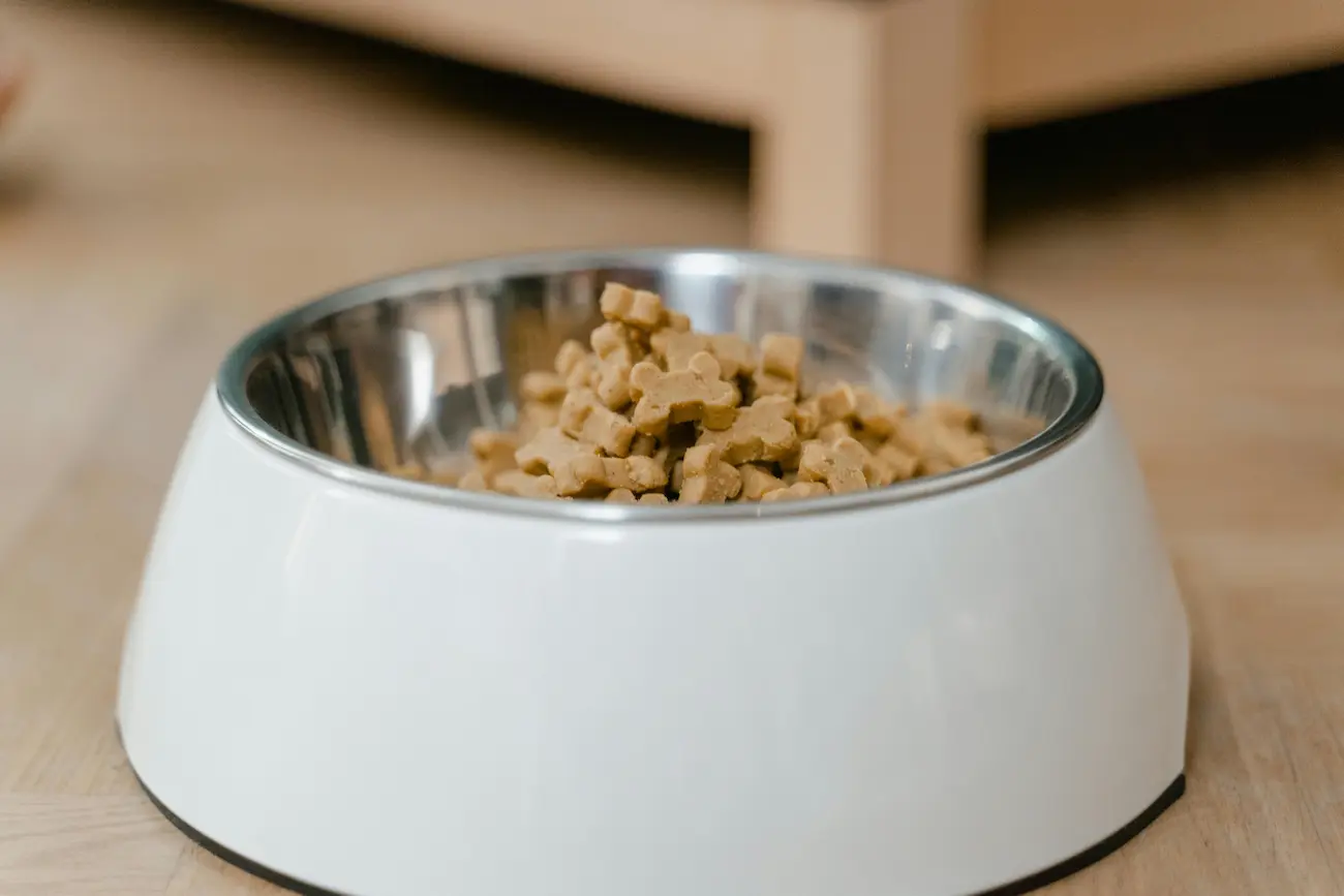 Purina ONE Cachorro é Boa? Análise Completa da Linha Premium